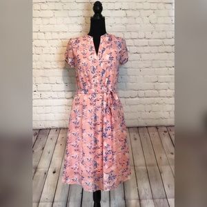 Robert Louis Pink and Blue Floral Dress